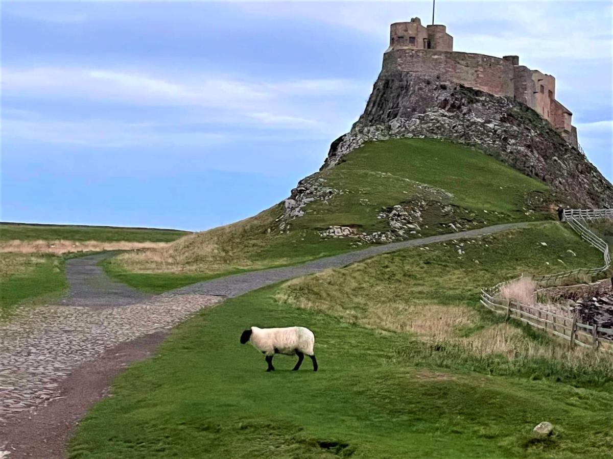 The Ship Inn Holy Island of Lindisfarne Eksteriør billede